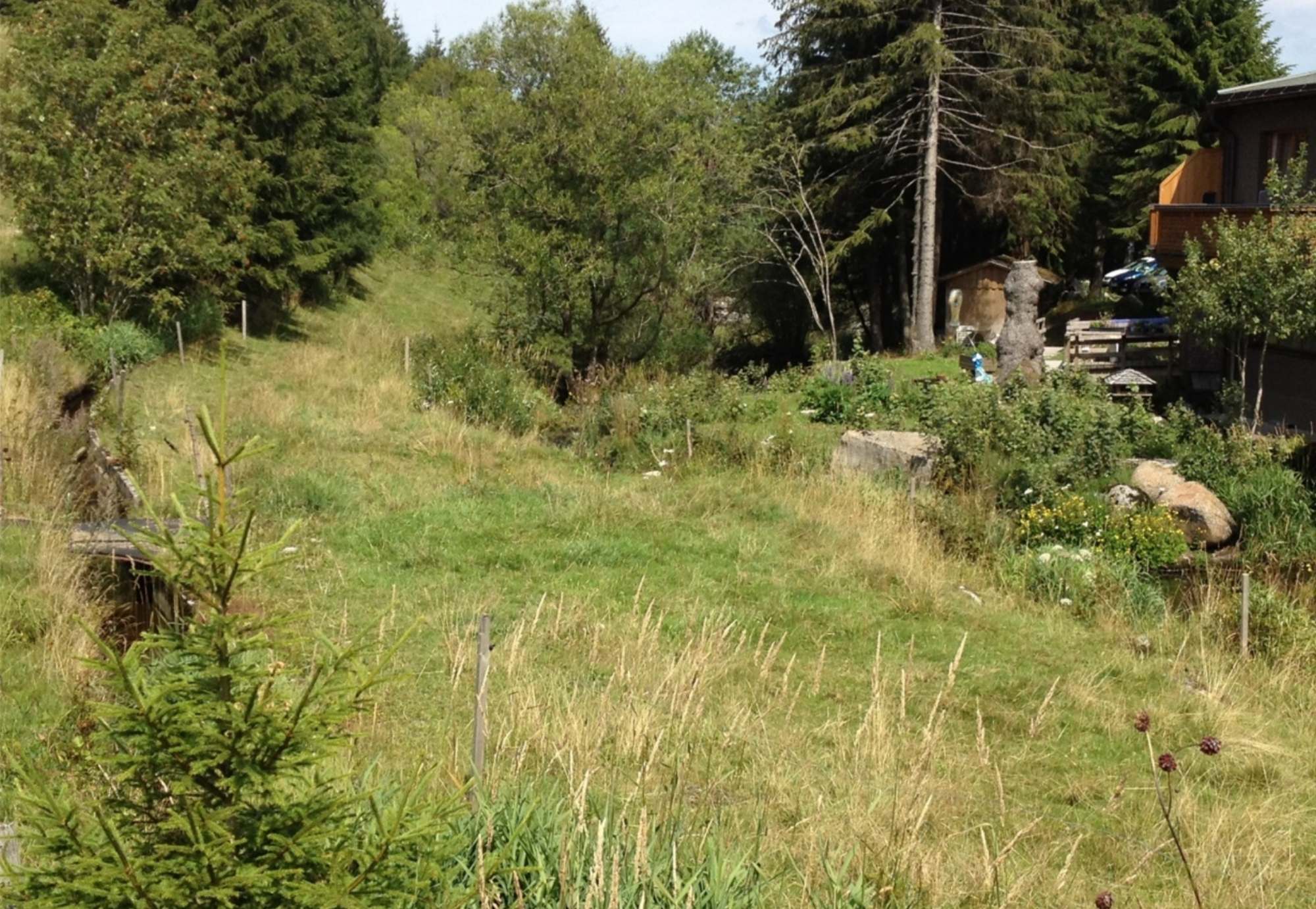 Wiese und Garten am Waldrand
