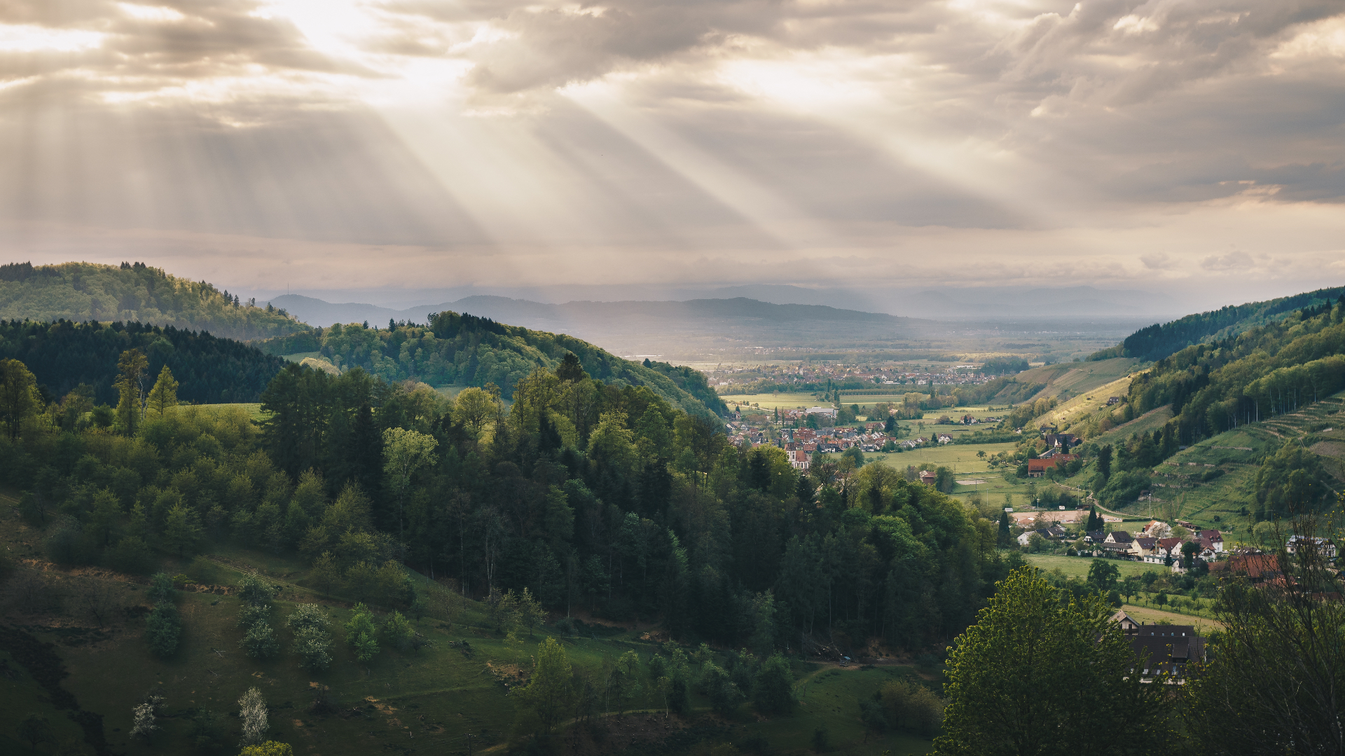Schwarzwald-Landschaft